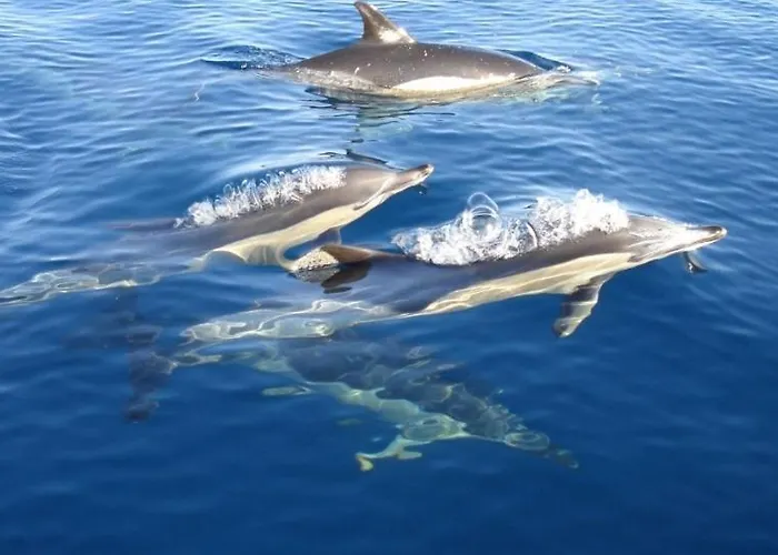 Rocha By Nuno Clube Da Rocha Iii Appartement Portimão