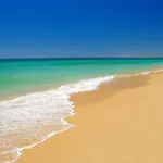 Rocha By Nuno Clube Da Rocha Iii * פורטימאו