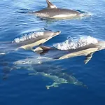 Rocha By Nuno Clube Da Rocha Iii Lägenhet Portimão